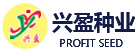 logo.png